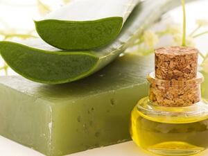 صابون الصبار صابون الصبار