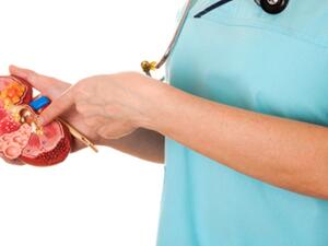 كيفية تأثير الجسيمات في الهواء على صحة الكلى