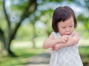 من المحتمل أن تسبب اللدغة الالم في البداية على شكل وخز بسيط