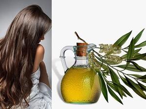  4 طرق لاستخدام زيت شجرة الشاي