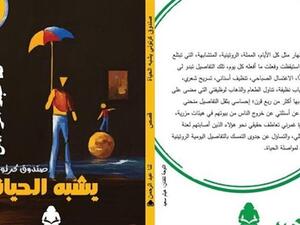 المجموعة القصصية «صندوق كرتوني يشبه الحياة»