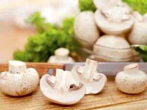 ركز الباحثون على نشاط المكونات البيولوجية للفطر