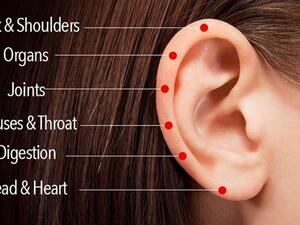 6 نقاط تدليك على الأذن لعلاج الأمراض المستعصية