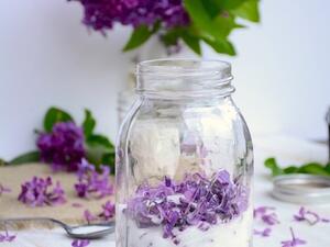 سكر الليلك الأرجواني