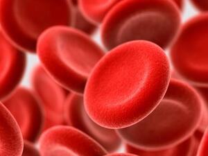 خلايا الدم الحمراء