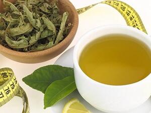 يعتبر النعناع من الأعشاب العطرية الشعبية جدا 