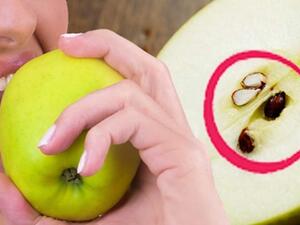 ما هي فوائد التفاح وما هي مضاره؟