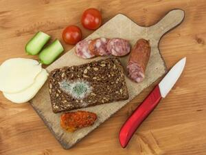 هل تتناول خبزا طرفه عفن؟