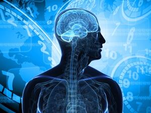 ما علاقة الارق بالمشاكل الصحية الداخلية؟