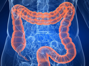 القولون عضو هام بحاجة الى الاهتمام والصيانة بانتظام