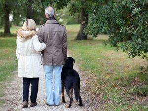 الكلاب يمكن ان تحفز اصحابها على الحركة 