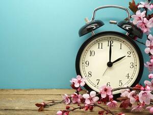 اهلا بالربيع