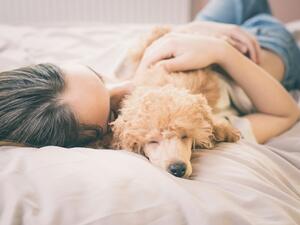 هل من الحكمة أن نترك الحيوانات الاليفة تنام على فراشنا؟
