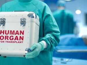 التبرع بالاعضاء البشرية سيشهد تغيرا كبيرا