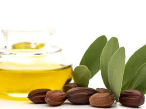 يساعد زيت الجوجويا على ترطيب فروة الرأس