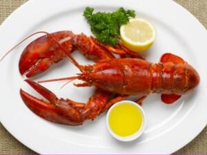 كلما قل ألم الكائنات التي نتناولها كلما قل تأثيرها السيء على مزاجنا