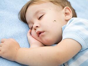 الاطفال هم الاكثر عرضة للدغات البعوض