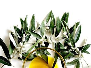 زيت الزيتون جزء لا يتجزأ من مائدتنا العربية، فهل تستخدم النوع المناسب؟
