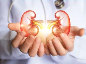 حصى الكلى متعبة ومؤلمة تعلم كيف تتخلص منها