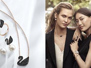 مجموعة البجعة الرقيقة