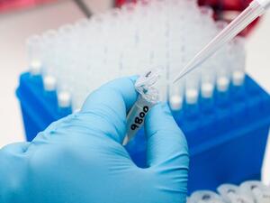 جهاز المناعة له رد فعل محدود على الخلايا السرطانية