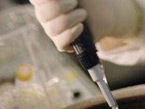 لقاح ضد السمنة 