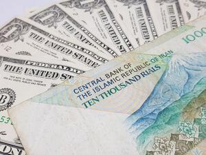 To encourage Iranians to return their hard cash to the economy, the plan allows the central bank to set up dollar savings accounts for ordinary people, state television said. (Shutterstock)