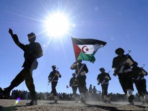 Polisario members. (AFP/ File Photo)