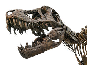 (Shutterstock/File Photo)