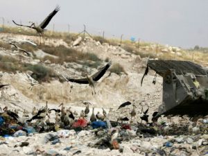 ما زالت قضية العسكريين مجهولة المصير رغم كل الجهود 