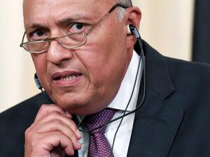 Egypt's Foreign Minister Sameh Shoukry (AFP/File Photo)