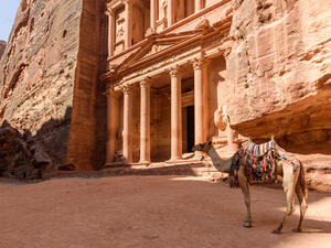 At the international level, Petra lies along one of the world’s largest bird migratory flyways. (Shutterstock) At the international level, Petra lies along one of the world’s largest bird migratory flyways. (Shutterstock)