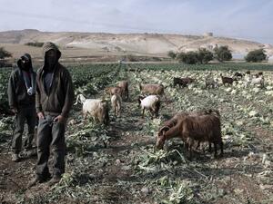 أهالي جالود أقاموا دعوى قضائية لدى المحكمة العليا الإسرائيلية 