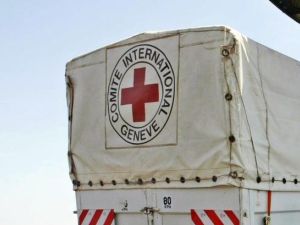 The Red Cross car (AFP/File Photo)