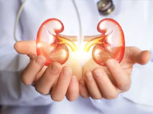 من أسباب تضحم الكلى قلة تناول الماء 