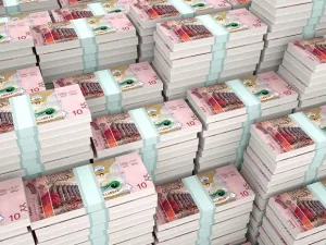 The central bank said that, 85 per cent of those debts are owed to local banks, while the remaining 15 per cent are owed to financial facilities companies. (Shutterstock)