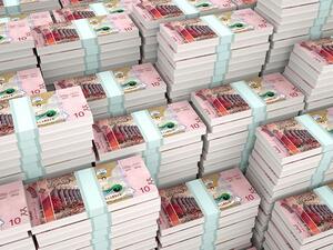 The central bank said that, 85 per cent of those debts are owed to local banks, while the remaining 15 per cent are owed to financial facilities companies. (Shutterstock)