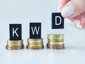 The sources explained this means the number of expatriates has not increased but somehow declined. (Shutterstock)