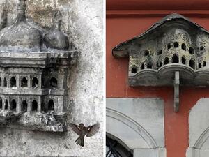 قصور مصغرة للطيور 