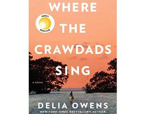 رواية "عندما يغنى لوبستر" لداليا أوينز تحتل المرتبة الأولى فى قائمة مبيعات الكتب