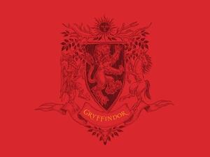 إيرادات كتب هاري بوتر ارتفعت 40%