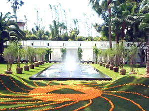 "الشوك" .. قصة للأديبة المغربية نادية بنمسعود