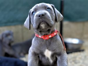 (Shutterstock/File Photo)