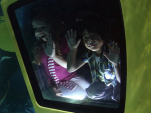 The popularity of the new Dubai Parks and Resorts theme parks is picking up. 