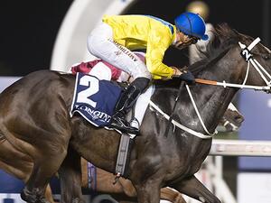 World class horse racing in Dubai