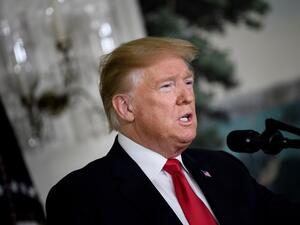 US President Donald Trump makes a statement about immigration and the border wall from the diplomatic reception room of the White House January 19, 2019. (AFP/File)