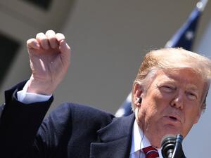US President Donald Trump speaks during a joint press conference with Brazil's President. (AFP/ File Photo)