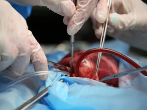 (Shutterstock/ File Photo)