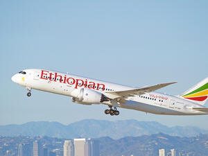 Ethiopian Airlines plane crashes with 149 passengers and 8 crew onboard. (Shutterstock/ File Photo)