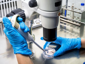 (Shutterstock/ File Photo)